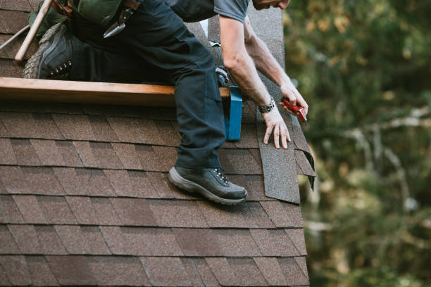 Roof Gutter Cleaning in San Pablo, CA
